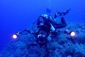 Unterwasser-Fotograf (dive.steha.ch)